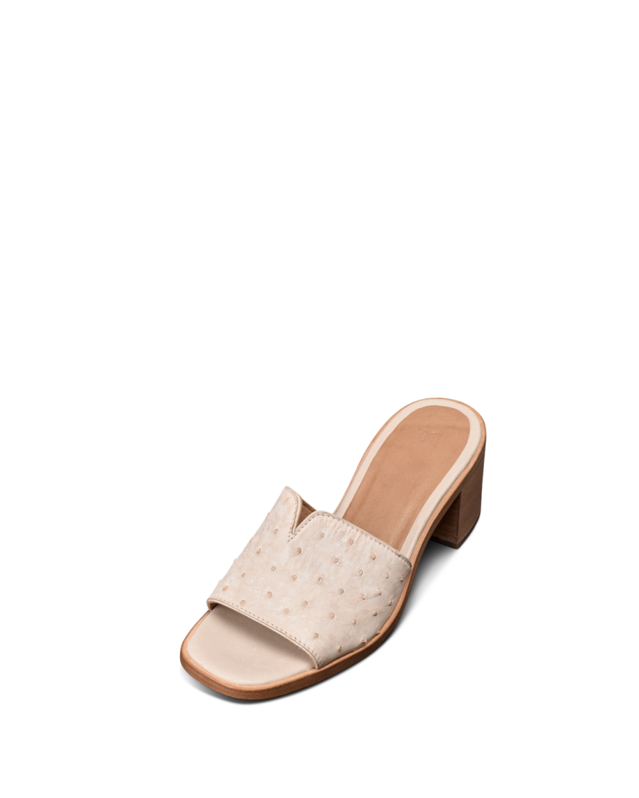 The Carmen Paloma - Image 15