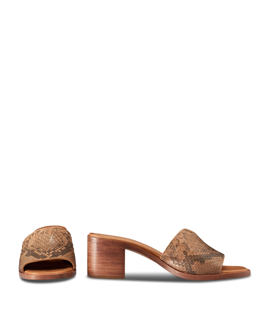 The Carmen Paloma - Image 9