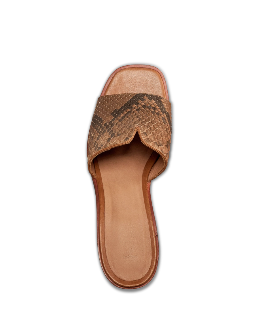 The Carmen Paloma - Image 8