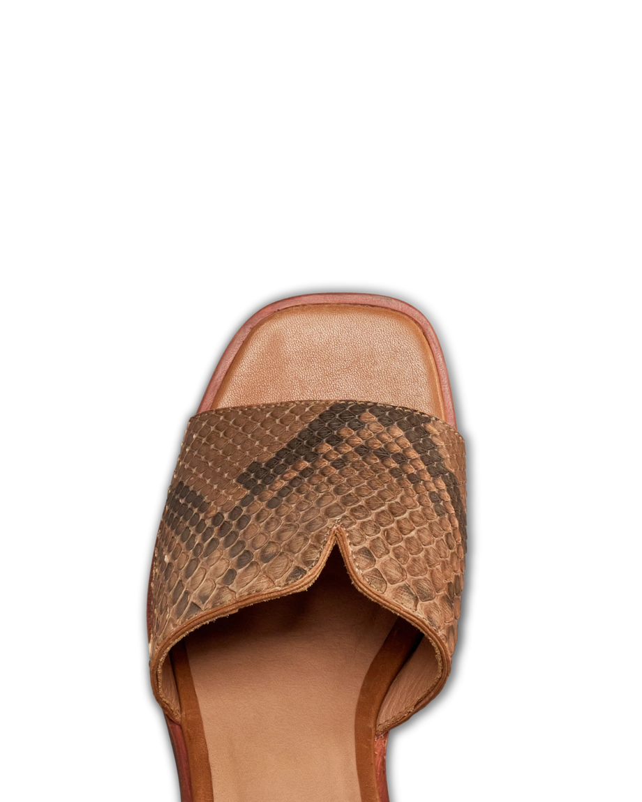 The Carmen Paloma - Image 5
