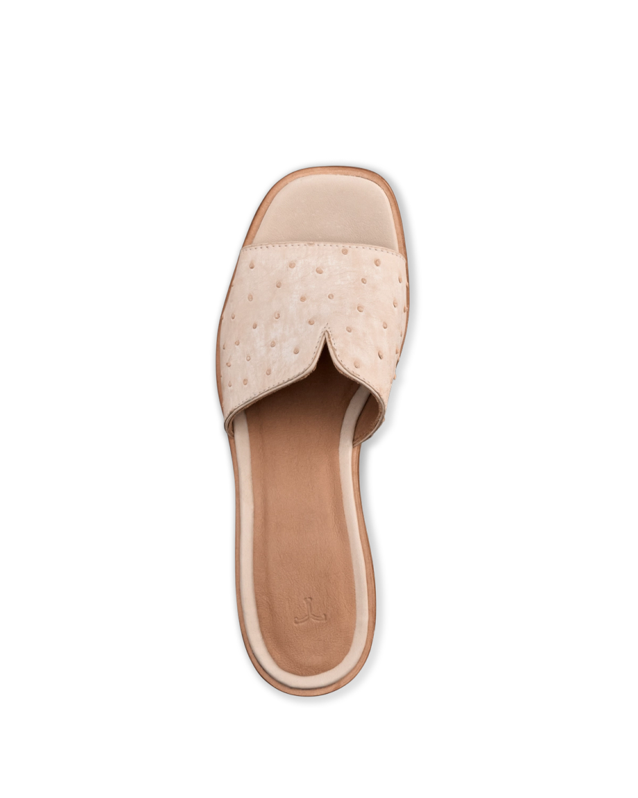 The Carmen Paloma - Image 20