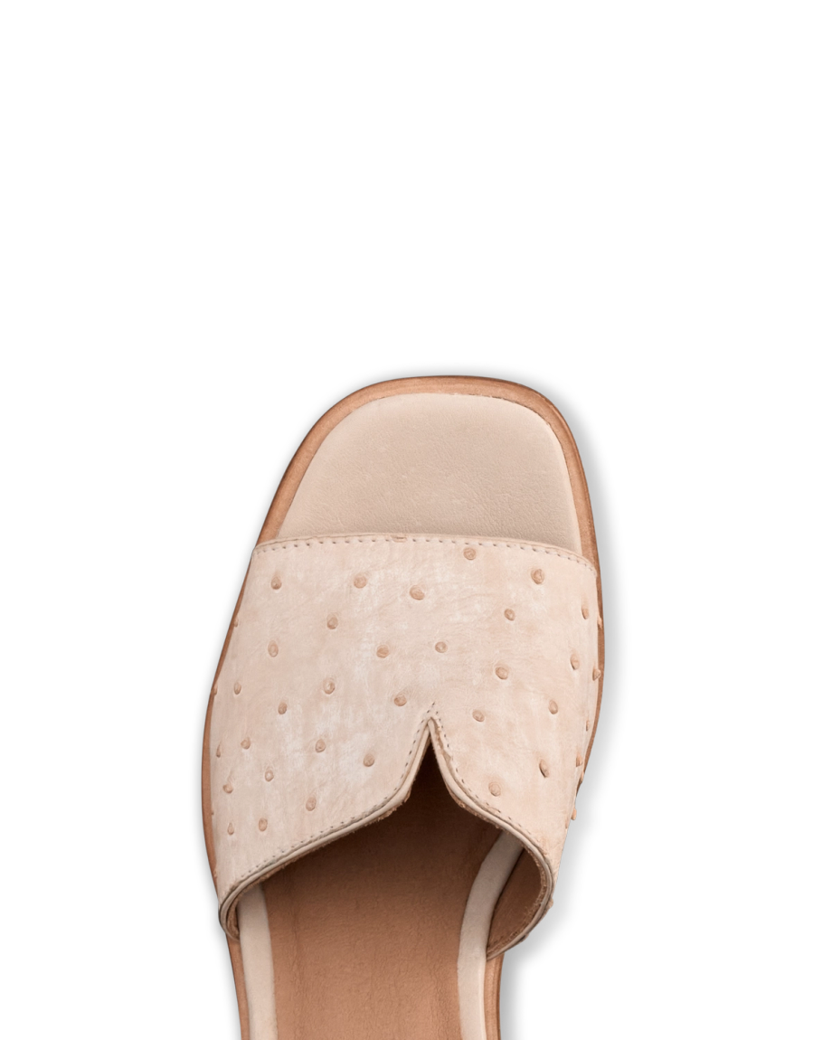 The Carmen Paloma - Image 16